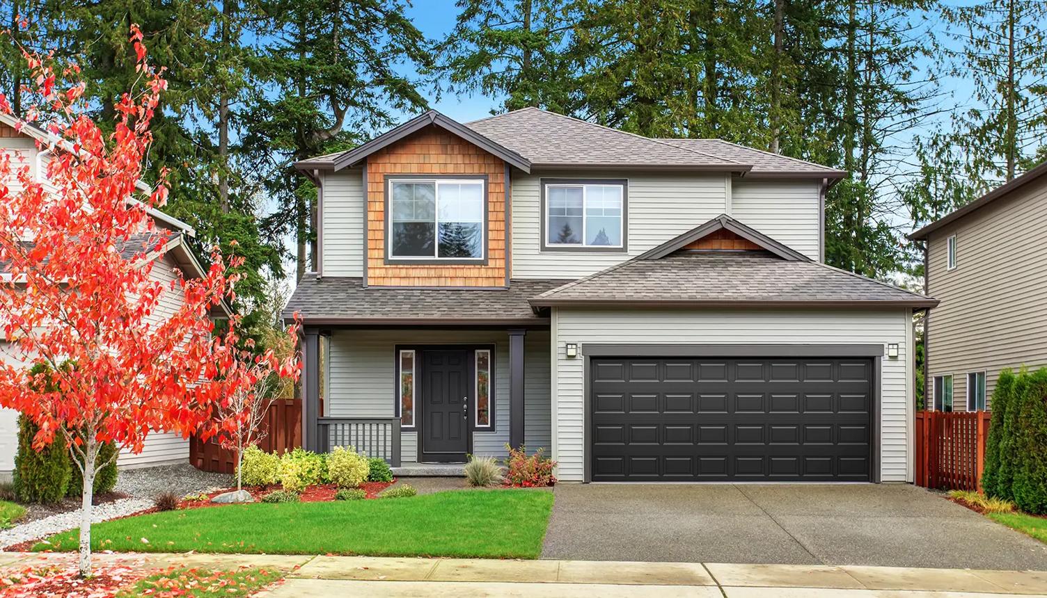 Garage Door Mount Lake Terrace